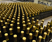 Mat-Top Conveyor for Wine Bottles